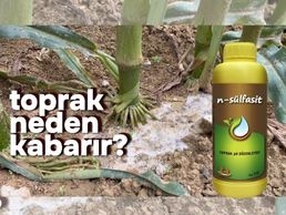 N-SÜLFASİT UYGULAMA SONRASI TOPRAK NEDEN KABARIR?